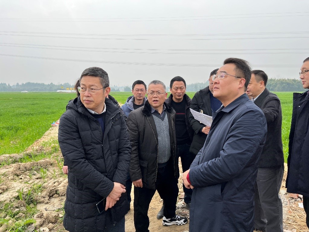 省社、省供投集團領導調研青白江區四川現代供銷種業園區