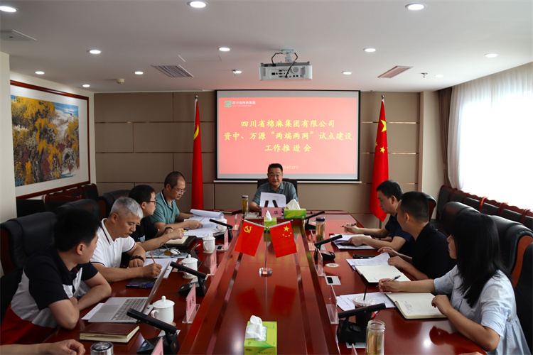 鄧華主持召開資中、萬源“兩端兩網”試點建設工作推進會