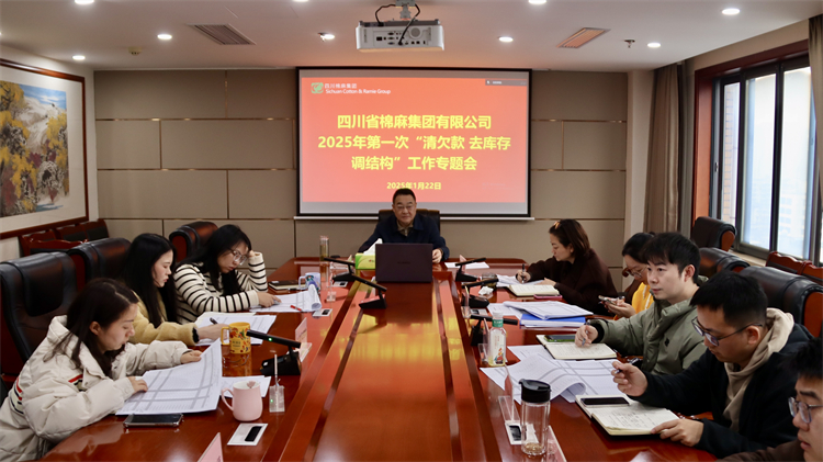 集團公司召開2025年第一次“清欠款、去庫存、調結構”工作專題會