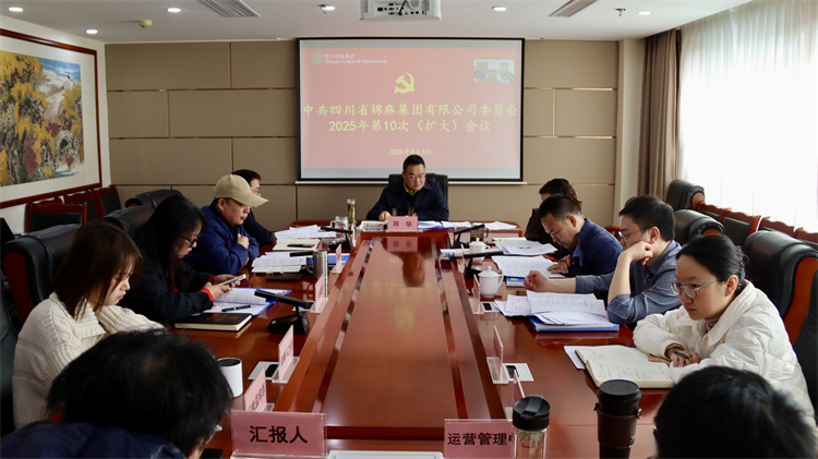 集團公司召開2025年第10次黨委（擴大）會議