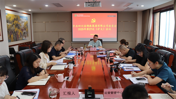 集團公司召開2025年第27次黨委（擴大）會議